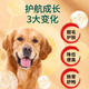 Wei Zhenchun Dog Food Club 40 Jin Jin is equal to 0.5 kg. Packed with Teddy Golden Retriever Samoyed Adult Dogs and Puppies Universal Full Price Dog Food Large Packaging Adult Dogs and Puppies Universal Club 20kg Multi-Dog Family