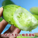 Rabbit leg fruit type cucumber seedlings, new varieties, early maturing short-stick cucumber seedlings, large collection of vegetable seedlings in small yards, rabbit leg fruit cucumber seedlings, 3 trees + fertilizer + planting