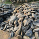 Pure natural stream stone fish tank landscaping stone flakes turtle basking back schist climbing pet rockery terrace landscaping stone 3Jin Jin equal to 0.5kg 20-30cm schist size matching