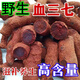 北京同仁堂血三七 云南野生血三七泡酒中药材药酒磨粉 云南野生血三七500克+金丝皇菊一