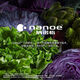 
Panasonic refrigerator six-door NRF673WXX5 air-cooled frost-free Nanometer X deodorization black mirror NR-F673WXX