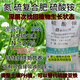 5 Jin Jin is equal to 0.5 kg Nitrogen Fertilizer Ammonium Sulfate Fertilizer Field Powder 5 Jin Jin is equal to 0.5 kg Flower Fertilizer Compound Fertilizer Water Soluble Fertilizer Foliar Fertilizer Vegetable Gardening Agricultural Use Large Enterprises Nitrogen Fertilizer Ammonium Sulfate Fertilizer 860g Garden Fertilizer