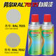 7035 Selbstbemalte Raul Ral7000/7011/7016/7024/7031/7032/7037/703 B05 Sea Grey