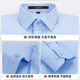 ROMON long-sleeved shirt men's spring and autumn easy-to-make business casual formal wear middle-aged and young work shirt C101