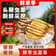 2025 Fresh Cordyceps Fresh Cordyceps Sinensis Authentic freshly dug Cordyceps sinensis fresh grass shipped directly from the origin by SF Express Tibetan fresh Cordyceps 0.8-0.9 grams 30 pieces each get 2 pieces shipped by SF Express