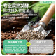Stanley soybean meal organic fertilizer fermented decomposed granules potted plants universal flower special cake fertilizer flower fertilizer 2.5 Jin Jin equal to 0.5 kg