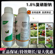 1.8% compound sodium nitrophenolate for tomato rooting, strong seedlings, antidote for pesticide damage, flower preservation, fruit expansion, water-soluble growth regulation foliar fertilizer 1000g