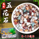 Runhuanian Pure Yuhua Stone Potted Succulent Pavement Stone Small Multicolored Stone Fish Tank Pavement Ornamental Stone Colorful Small Stone Multicolored Stone 8-12mm 5.2Jin Jin equals 0.5kg (hot)