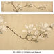 溥畔明文徵明白玉兰图卷花鸟画微喷仿古复制品新中式装饰画卷轴挂画 明文征明白玉兰图卷28X256厘米1 专用宣纸喷绘乳白色横轴装裱