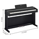 Yamaha (Yamaha) YDP-145B 88-Key-Hammer Hammer vertikal erwachsene Anfänger Kinder Home Grade Examination Elektronisch Klavik Schwarz + Geschenktüte