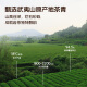 Xiaowen’s Tea Oolong Tea Qinxiang Wuyi Rock Tea Dahongpao Level 149.4g Medium Light Fire Gift Box Suitable Tea Leaves