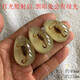 Fat Donglai's same amber insect specimen carefully selected scorpion blind box children's gift textbook luminous scorpion 50mm 20~