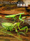 Ferngesteuerte Mantis Elektrische Simulation Spielzeug Streich Artefakt Kakerlach Boy Moves Spider Web Promi Crawling Animal Classic Version-Fernbedienungs-Fly Blue Model 9921+ Schrauben Upgrade-Version mit weiteren 24 Elektronik