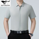 Seven Wolf Mulberry Silk Short Sleeve Shirt Men's Summer New Casual Business No Ironing Shirt Middle-aged Lapel Thin Half-Sleeve Top 6913 Gray Green L 175/115