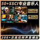 圣维斯SW100手工实木演奏小提琴初学者儿童成人考级入门比赛乐团 MATTE（哑光工艺） 4/4身高150CM以上