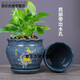 懿儱佩新款花盆陶瓷带托盘简约新中式阳台绿植兰花盆栽多肉花盆 灰7170幸福一个 陶瓷大