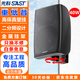 先科（SAST）DW40壁挂式音响音箱喇叭 40W无源需连功放机店铺商用工程会议室家用餐厅公共广播背景音乐 4英寸	