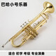巴哈新款降B调巴哈小号乐器TR-500金色镀银磷铜初学考级演奏 金色 初学小号