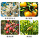 Lomon Fusheng gibberellin 920 plant growth regulator erythrase acid gibberellic acid fruit tree tea germination and flower and fruit preservation solution 2000ml