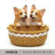Yusenyi kreativer Hundeingangsschloss Aufbewahrungs Ornamente am Tür Eingang Schuhschrank Desktop Dekoration New Home Geschenk Handwerk Doppelgolden Retriever 14068y
