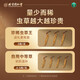 Beijing Tongrentang Cordyceps sinensis [large Cordyceps king] 1g about 3 first stubble unbreakable grass high-end tonic products