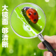 驿普路（YIPULU）放大镜老人阅读高清高倍儿童便携式超大手持看书 XT-671（直径100mm）