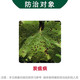 Hulian Plant Protection 40% difenoconazole suspension watermelon anthracnose pesticide fungicide 1000g*1 bottle