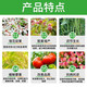 28 table high brassinolide Yuntai lactone leaf-protecting surface fertilizer antidote to flower and fruit plant growth regulator 1000ml