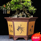 Maisanghe yixing en argile violette orchidée pot succulent arbre vieux pile cliff bononsaï pot de bureau verte plante en céramique fleur pot 693 petit