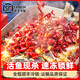 筷手小厨海底捞 方便预制菜半成品加热即食夜宵麻辣青花椒蒜香烤鱼 2-3人 麻辣烤鱼 1396g