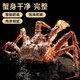 Jingcai Tianyuan Fresh Quick Frozen King Crab 4.5-4.9 Jin Jin is equal to 0.5 kg Russian Big Crab Fresh Seafood Dinner and Gift Delivery Directly from the Source