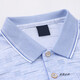 Xuanzhu Old Man Seda delgada Camiseta de manga larga de manga larga Padre de mediana edad de mediana edad y camiseta de verano de mediana edad POLO POLO CAMISO DE POLO 9856 AZUL M sugiere 80/120Jin [Jin equivale a 0.5 kg]