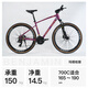 Philips (Phillips) Benjamin Series Gravel Road Bicycle adulte variable vitesse d'absorption d'amortisseur d'entrée de gamme hommes et femmes en montagne monte