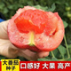 Big fruit 168 tomato seeds super sweet heat-resistant old variety tomato seeds high yield southern big fruit tomato seeds DF5562 original high yield new species 1000
