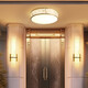 Deckenleuchte am Eingangshalle Lichter im Hausleuchten in der Balkon im Außenbalkon im Freien im Freien im Freien der Wasserdosen Villa 6626-40 cm-Drei-Farben-Leuchten-36W