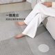 Tapis de salon wenshiou Pas de lavage et facile à prendre soin de style minimaliste 2025 Nouveau canapé de luxe clair