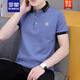 Romon Ice Seide Baumwolle kurzärmeligte T-Shirt-Hemd-Hemd-Top Herren-Lampe Polo-Hemd halbe Ärmeln Jugend Sommer neuer Stil 681 Rauchgrau M.