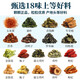 Mais -Rasur Mulberry Blatt Tee Tee Grüne Geld Weiden Löwenzahn Burdock Wurzel Maulbeerblatt Haforn Buchweizen Blume Blume Tee Teebeutel Gesamtzutaten 600 g 60 Beutel