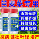 Songqing's special fertilizer for powdery mildew on bitter wheatgrass disease. Complete treatment of bitter wheatgrass disease. 3 bottles of powerful effect.
