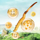 
Zangqingyuan [First stubble fresh grass in 2025] Fresh Cordyceps sinensis, fresh Cordyceps in the first stage, fresh grass selection gift box, fresh grass 0.7g/root, 30 roots
