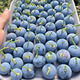 Strawberry seeds, blueberry seeds, blueberry saplings, raspberry seeds, seedlings, potted blue plum trees, fruit trees, all varieties of blueberries mixed 100 capsules