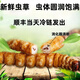 2025 Fresh Cordyceps Head Period Authentic Fresh Cordyceps Selection of Fresh Grass Big Grass SF Express Cold Chain Production Directly Haired. Tibet Nagqu Fresh Cordyceps 0.8 grams each pack of 20 pieces