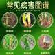 Hulian Plant Protection Shangmiaoqing 30% Metaloxamin Soil Fungicide Hymexyl Fruit and Vegetable Root Rot and Blight Pesticide Fungicide