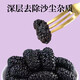 1000g of Liuyangyuan Dried Mulberries Selected Xinjiang mulberries with no washing and black ready-to-eat, can be used with black wolfberry to make tea for health