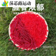Li Lang simulated earthworm bionic red worm fake bait soft bait wild fishing crucian carp bait Luya fishing soft worm nematode fishing bait 2CM red worm 20 trial packs five pairs of double hooks
