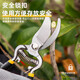 Deli pruning scissors, flower pruners, fruit tree gardening pruners, labor-saving pruning scissors, flower pruners, 8 inches DL2778