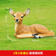 Fiberglass large animal sculpture simulated sika deer ornaments outdoor courtyard garden forest landscape lawn decoration No. 1 small lying deer right