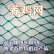 Chicken net, chicken net, fishing net, breeding net, fence net, nylon vegetable garden fence, climbing vine grid, chicken net, protective fish net, thickened 18 strands, 3 cm thickened ribs, 2 meters high and 100 meters long
