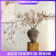 Wen Shi Ou Shan Return natural plant dried flower bouquet living room decoration wabi-sabi wind flower arrangement dry branches decorative ornaments dry branches red mountain return short branch 5 dried flowers 45-60cm