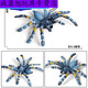 Simulation du village de Shantoulin Spider Spider Halloween Prank Toy Simulation Spider Venomous Spider Insect Modèle Animal Ox-684 Brésilien Red Velvet Spider 0.009